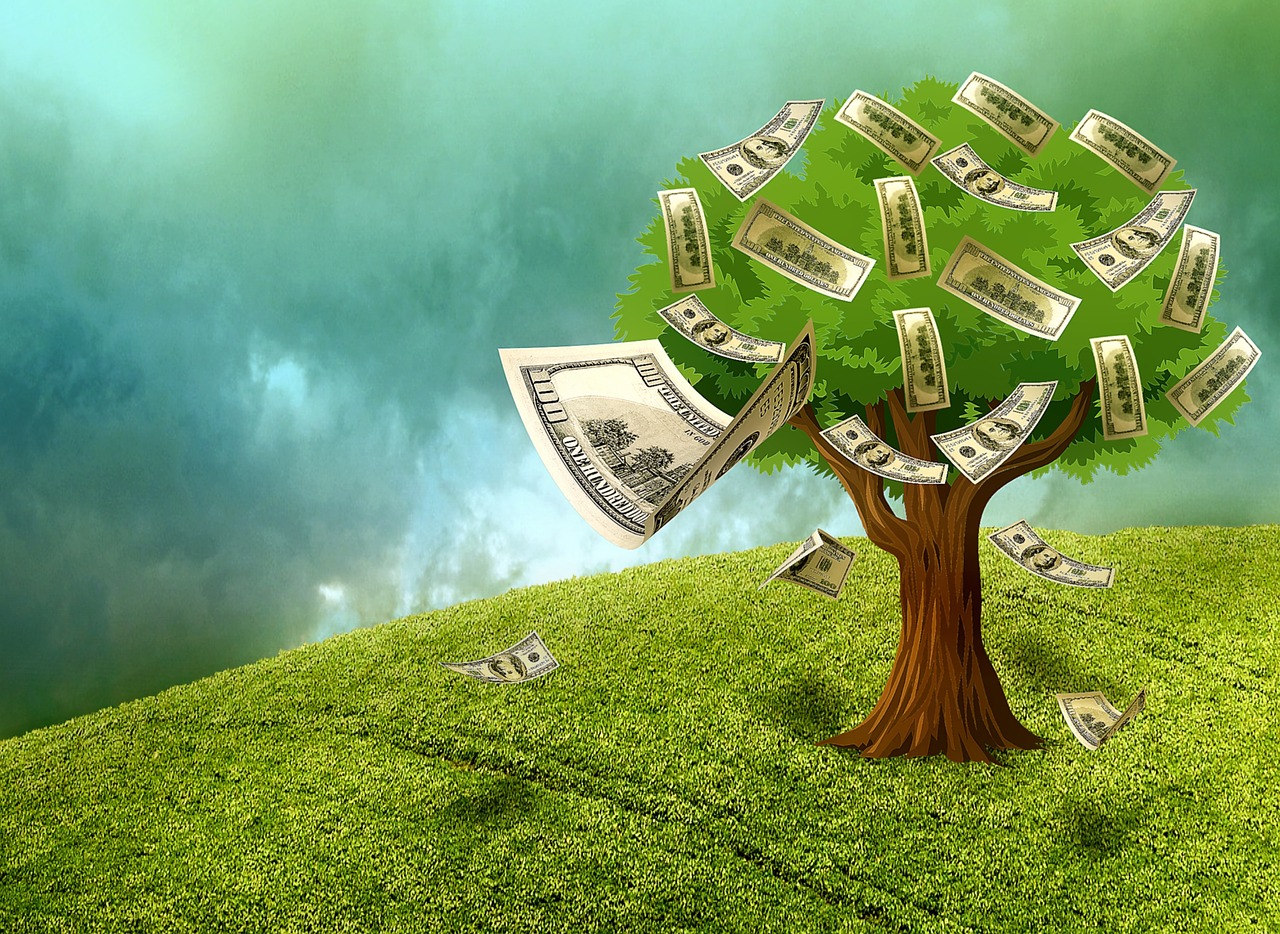 Growing a money clearance tree